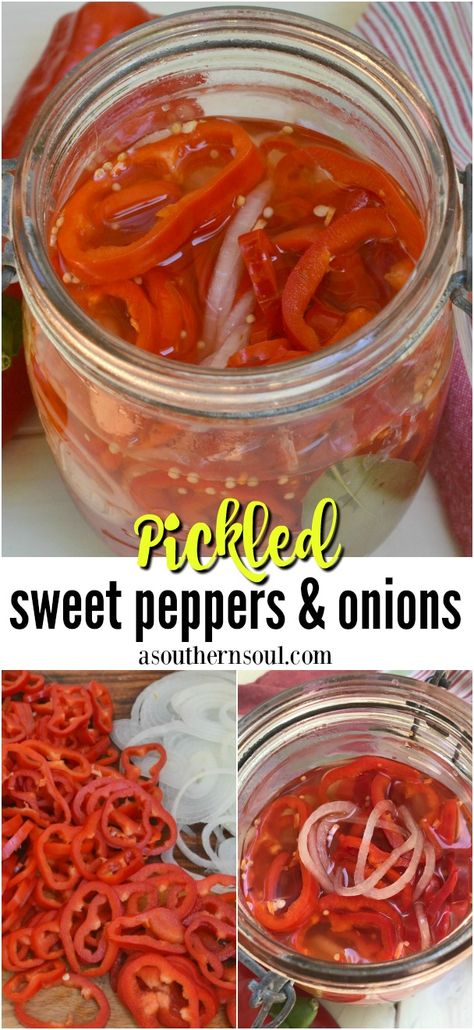 Pickled Red Onions And Peppers, Canned Peppers And Onions, What To Do With Red Peppers, Sweet Red Pepper Recipes, Pickled Red Peppers Recipe, Pickled Ideas, Pickled Red Peppers, Picked Peppers, Pickle Flavors