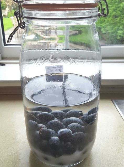 Easy damson or sloe gin - recipe | Lisa's Notebook Sloe Gin Recipe, Plum Gin, Gin Ingredients, Gin Recipe, Damson Plum, Kilner Jars, Gin Recipes, Sloe Gin, Coffee Filter Paper