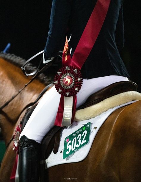 Winter Equestrian Festival, Winter Equestrian, Horse Show Ribbons, Horse Ribbons, Wellington Florida, Horse Competition, Wall Pics, Equestrian Aesthetic, Horse Coats