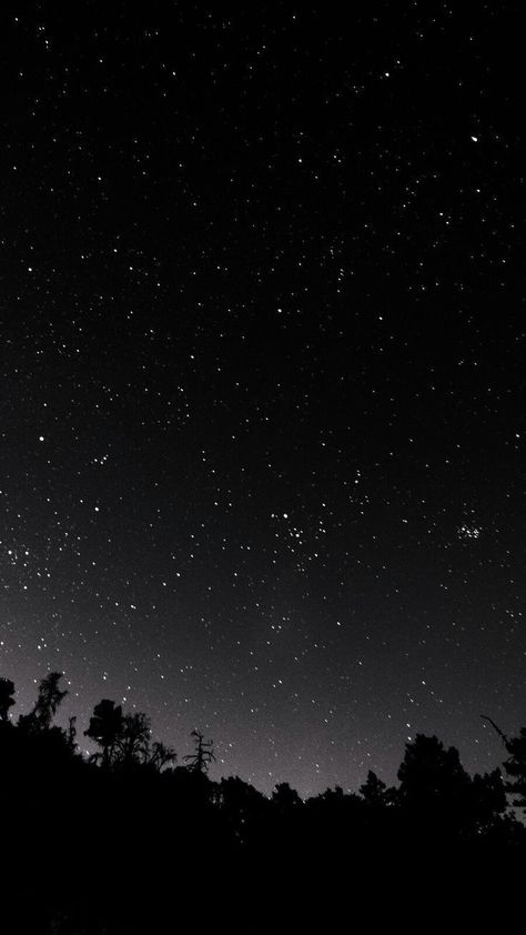 Night Sky Hd, Wallpaper Display, Palm Trees Wallpaper, The Pleiades, Amoled Wallpapers, Tree Wallpaper, Samsung Wallpaper, Ig Post, Space And Astronomy