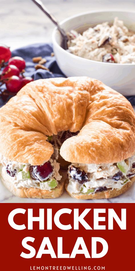 Chicken Salad Sammies, Best Chicken Salad With Grapes, Chicken Salad With Grapes And Cranberries, Chicken Salad Recipe With Mustard, Sweet And Savory Chicken Salad, Chicken Salad Grapes Pecans, Chicken Salad With Red Grapes, Chicken And Grape Salad Recipe, Grape Pecan Chicken Salad