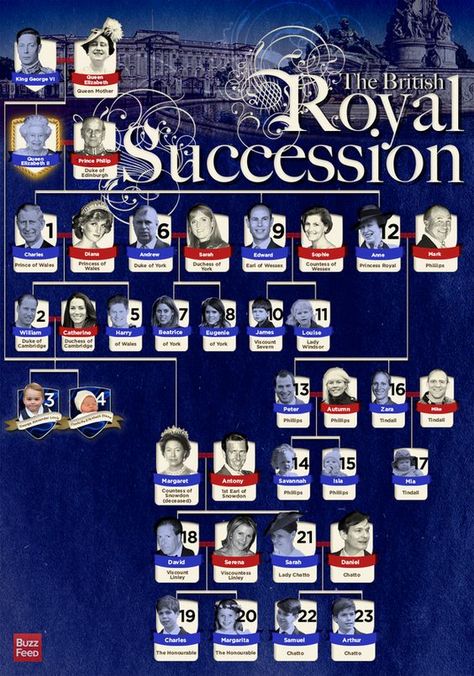 UPDATE: Princess Charlotte Elizabeth Diana has been added. Meet the royal baby's family and find where they fit into the line for the British throne. Royal Line Of Succession, Royal Family Trees, Line Of Succession, Rainha Elizabeth Ii, English Royalty, History Nerd, House Of Windsor, English History, Queen Of England