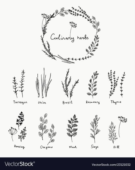 Herb Logo Design, Rosemary Tattoo, Culinary Tattoos, Herb Tattoo, Herb Logo, Herbs Illustration, Food Logo Design Inspiration, Logo Elements, Food Tattoos