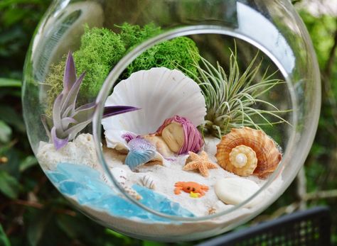 Miniature Mermaid Gardens Are the Coolest Take on Fairy Gardens | Brit + Co Sleeping Mermaid, Strand Decor, Beach Terrarium, Mason Jar Terrarium, Miniature Mermaid, Terrarium Gifts, Terrarium Kit, Plant Terrarium, Air Plant Terrarium