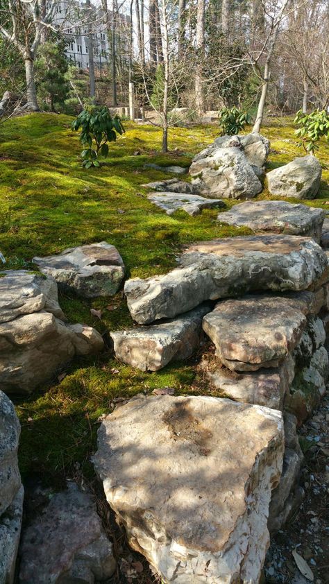 Boulder wall Boulder Garden Rock Landscaping, Boulder Retaining Wall Ideas Hillside, Thunderclan Camp, Vermont Gardening, Landscaping Around Patio, Boulder Wall, Boulder Garden, Boulder Retaining Wall, Colman Domingo