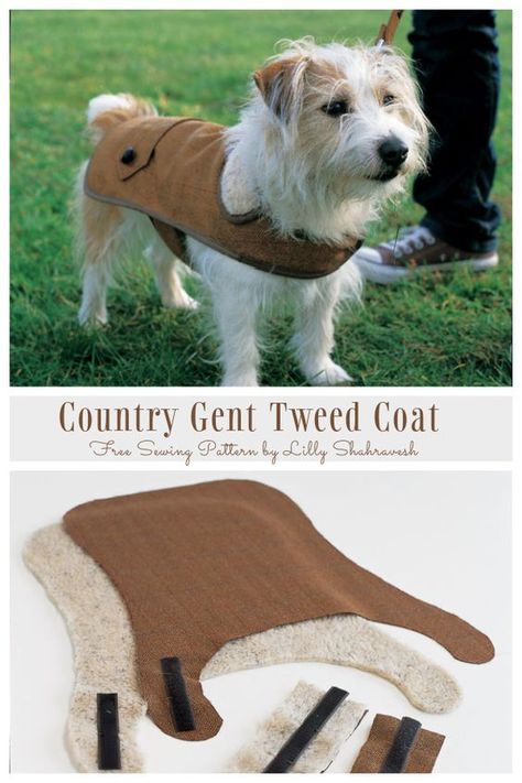 Dachshund Dog Clothes Sewing Patterns, Dachshund Coat Pattern Free, Small Dog Coats Patterns Free, Dachshund Clothes Pattern, Free Dog Sewing Patterns, Dog Patterns Sewing, Diy Dog Clothes Pattern, Dog Jacket Pattern Free, Sewing Patterns Dog