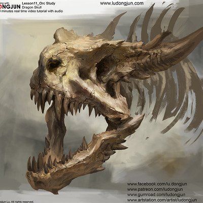 ArtStation - Real Human Skull Low-poly 3D model, Andrey Berezin How To Draw Animal Skulls Step By Step, Skull Anatomy Drawing, Scar Ideas, Animal Skull Drawing, Zodiac Dragons, Bone Dragon, Knight Statue, Dinosaur Skull, Skull Anatomy