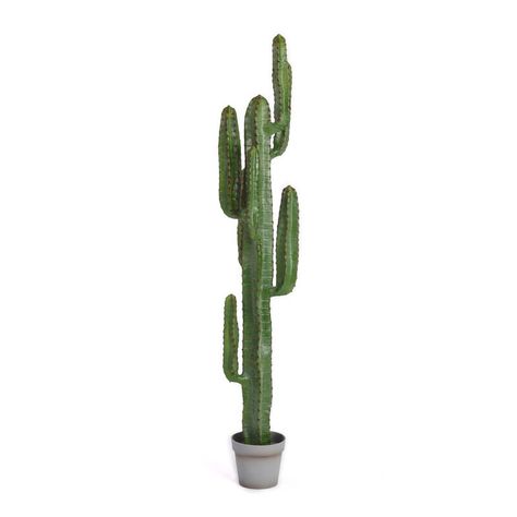 Primrue Artificial Cactus Plant in Pot Liner & Reviews | Wayfair Cactus Tree, Tall Cactus, Wisteria Plant, Large Cactus, Urn Arrangements, Artificial Cactus, Faux Cactus, Dracaena Plant, Plant In Pot