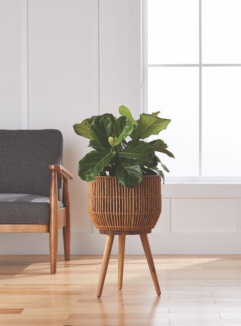 Better Homes & Gardens Brown Round Resin Planter & Stand Set with Wood Legs - Walmart.com Sitting Area With Plants Indoor, Plant Stands Living Room, Ikea Plant Hacks, Floor Plant Decor, Plant Corner Ideas, Beachy Apartment Decor, Rattan Plant Stand, Indoor Plant Stands, Farmhouse Vibes