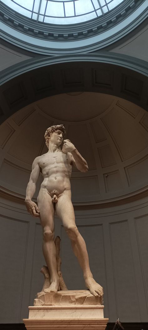 Michaelangelo Wallpaper, Michael Angelo Paintings, Famous Paintings Michelangelo, Michelangelo Anatomy, David Michelangelo Art, Michaelangelo David, Michelangelo Aesthetic, Michael Angelo Painting, Michele Angelo