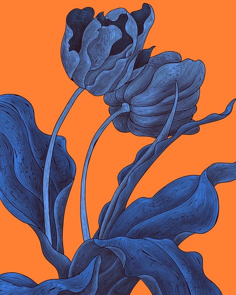 Illustration Kunst, Retro Kunst, Arte Inspo, Art And Illustration, Arte Floral, 그림 그리기, Botanical Art, Live Action, Aesthetic Art