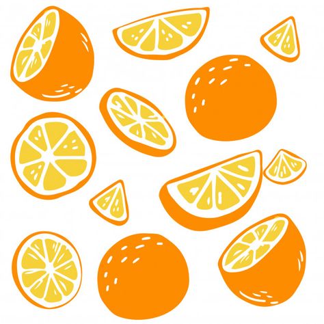 Pattern of oranges on white Premium Vector Fruits Vector Illustration, Vector Fruit Illustration, Orange Illustration Fruit, Orange Illustration Graphics, Cute Orange Drawing, Oranges Drawing, Orange Fruit Illustration, Fruit Illustration Art, Orange Doodles