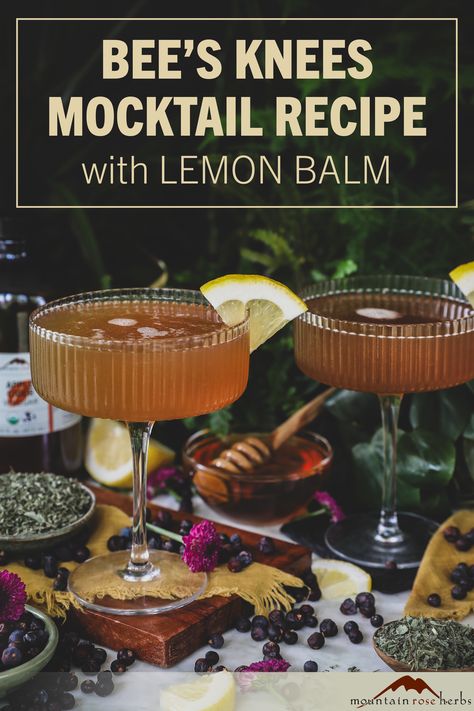 Many people drink alcohol for two main reasons—the social aspect of sipping on a tasty beverage at gatherings and taking the edge off from a stressful day or situation. What if we told you that we have an alcohol-free herbal drink that will check the same boxes?

This Bee's Knees Mocktail brings the flavor of juniper, honey, and lemon with nerve-soothing lemon balm for a tasty and effective zero-proof beverage!

#mocktailrecipe #alcoholfreedrinks #alcoholfree #zeroproof
#lemonbalm #herbaldrinks Lemon Balm Cocktails, Drinks For Studying, Infused Honey Recipes, Herbal Mocktails, Spiked Drinks, Photography Tea, Herbal Drink, Fall Meals, Alcohol Free Drinks