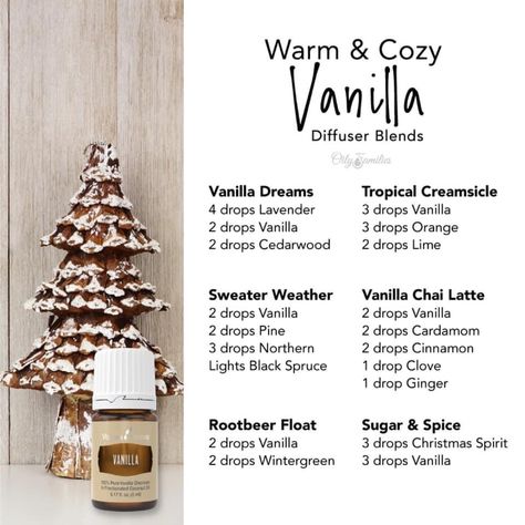 Vanilla oleoresin has a rich, warm, comforting aroma with sweet top notes. It blends well with most essential oils including mints, citrus, spicy, and woodsy oils. Try these warm and cozy vanilla diffuser recipes this holiday season! Christmas Diffuser Blends, Living Oils Recipes, Essential Oil Combinations, Essential Oil Diffuser Blends Recipes, Young Living Essential Oils Recipes, Essential Oils Guide, Essential Oil Diffuser Recipes, Oil Diffuser Recipes, Yl Essential Oils