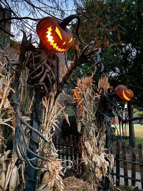 Halloween pumpkin scarecrows Scary Haunted House Ideas, Haunted House Ideas, Scary Halloween Decorations Outdoor, Pumpkin Scarecrow, Scary Halloween Decorations Diy, Scary Haunted House, Halloween Outside, Halloween Props Diy, Halloween Scarecrow