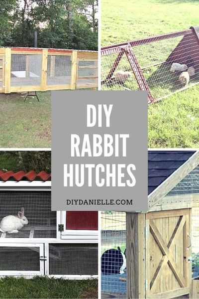 Easy To Build DIY Rabbit Hutch Ideas With Tutorials. These rabbit cages would be so much fun to build!   #Rabbits #homesteading #DIY Easy Outdoor Rabbit Enclosure Diy, Rabbit Hutches Indoor, Diy Bunny Hutch Outdoor, Bunny Hutch Diy Outdoor, Rabbit Run Ideas, Rabbit House Ideas, Rabbit Diy Ideas, Rabbitry Ideas, Rabbit Hutch Ideas