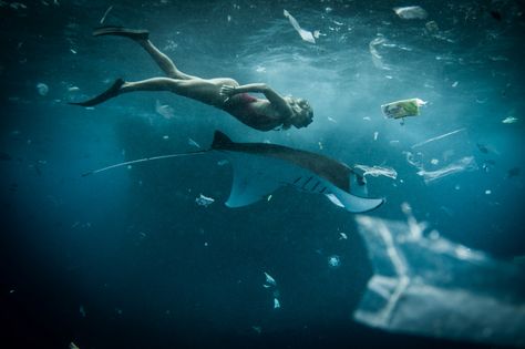 It's every divers dream to swim with manta rays...which makes these images taken off the coast of Nusa Lembongan Island, Bali all the more heartbreaking... Read more of this story at http://thecoraltriangle.com Lembongan Island, Hong Kong Beaches, Plastic Free Life, Kent Coast, Marine Debris, Ocean Day, Trash Art, Oceans Of The World, Plastic Pollution