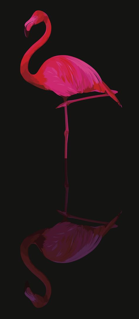 Flamingo Pictures, Flamingo Illustration, Behance Design, Iphone Wallpaper Aesthetic, Flamingo Wallpaper, Wall Paper Phone, Wallpaper Iphone Wallpaper, Flamingo Christmas, Flamingo Art