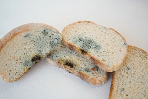 Moldy Food, Moldy Bread, Pickle Juice Benefits, Mold Allergy, Quick Sandwiches, Spit It Out, How To Store Bread, Ice Cream Brands, Pickle Juice