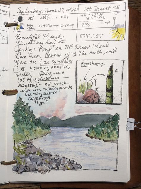 Nature Journaling for a Wild Life – Reader Page — Exploring Overland Nature Journaling Prompts, John Muir Laws Nature Journaling, Nature Journal Pages, Field Journal Aesthetic, Nature Journaling Ideas, Field Journal Ideas, Nature Journal Aesthetic, Explorers Journal, Nature Journal Ideas