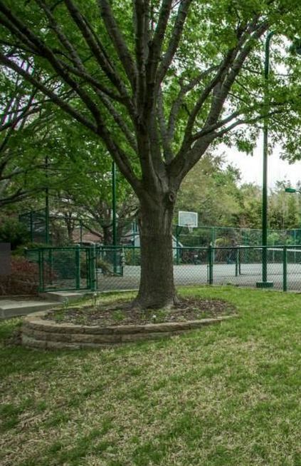 stone edging for tree on a hill Front Yard Tree Landscaping, Tree On A Hill, Full Sun Landscaping, Tree Mulch, Stone Edging, Shade Landscaping, Curb Appeal Landscape, Budget Landscaping, Trees For Front Yard