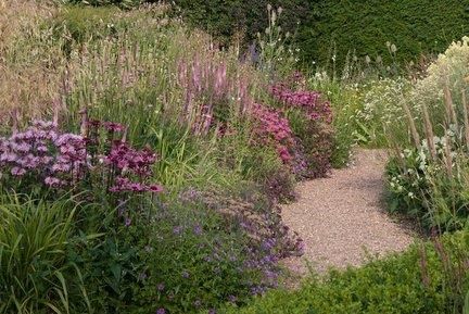 Summer Perennials, Planting Schemes, Flowering Perennials, Prairie Planting, Backyard Ideas For Small Yards, Prairie Garden, Planting Plan, Gravel Garden, Grasses Garden