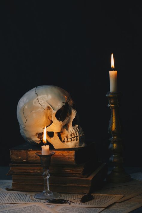 Wix Pro Gallery Still Life Art Reference, Still Life Candle, Candle Still Life, Halloween Still Life Photography, Still Life With Skull, Dark Academia Still Life, Skull Still Life, Dark Still Life, Gothic Still Life