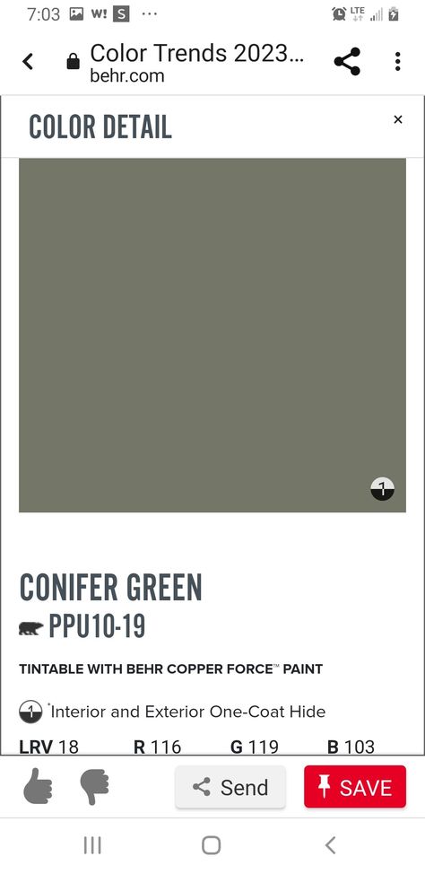 Olive Cabinets Bathroom, Conifer Green Behr, Behr Conifer Green Paint, Behr Conifer Green Cabinets, Behr Conifer Green, Behr Paint Green Cabinets, Behr Green Cabinets Kitchen, Green Bathroom Wall And Brown Rustic Cabinet, Behr Weathered Moss