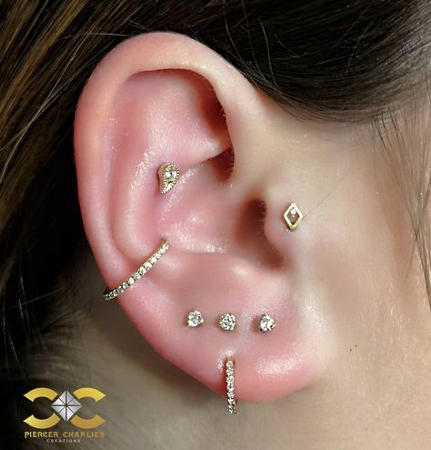 Piercer Charlie's Creations on Instagram: “This beautiful look combines many beautiful Gold jewelries in many places around the ear. Upper /outer conch holds a 14kt Gold Threadless…” Upper Conch Piercing, Contraconch Piercings, Outer Conch Piercing, Outer Conch, Dark Red Hair Color, Ear Jewellery, Flat Piercing, Dark Red Hair, Conch Piercing