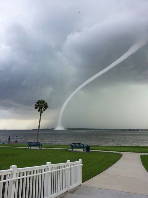 Tampa Florida Nature, Handmade Bird Toys, Water Spouts, Florida Weather, Florida Water, Florida Life, Florida Sunshine, Florida Man, Water Spout