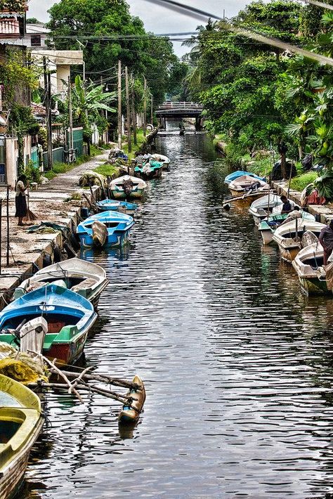 Dutch canal in Negombo, Sri Lanka. #VisitSriLanka Sri Lanka Galle, Sri Lanka Photography, Sri Lanka Holidays, Sri Lanka Beach, Travel Agencies, Travel Facts, Marketing Products, Sri Lanka Travel, Holiday Places