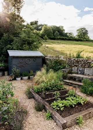 Potager Garden, Veg Garden, Flowers Wallpaper, Plants And Flowers, House Garden, Veggie Garden, Edible Garden, Farm Gardens, Country Gardening