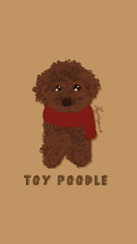 Puppy Wallpaper Aesthetic Cartoon, Poodle Cartoon Wallpaper, Cute Puppy Wallpaper Cartoon, Toy Poodle Drawing, Poodle Wallpaper, Brown Toy Poodle, Puppies Wallpaper, Poodle Drawing, Cute Sketch