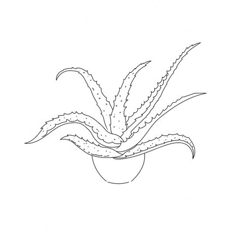 Aloe Vera Drawing Simple, Aloe Drawing, Aloe Vera Tattoo, Plant Doodle, Cactus Vector, Sweater Embroidery, Cactus Drawing, Adult Coloring Books Printables, Plant Icon