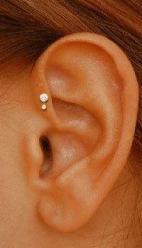 Cleaning Piercings, Forward Helix Piercing, Piercing Tragus, Piercings Unique, Cute Piercings, Piercings And Tattoos, Body Piercings, Tragus Piercings, Skateboarder