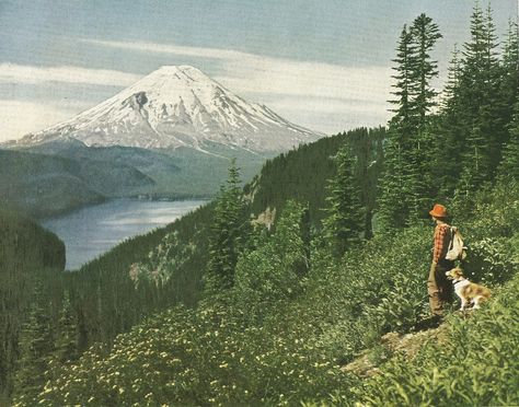 Mount St Helens, St Helens, A Hill, Pretty Places, Bushcraft, National Geographic, Pretty Pictures, The Great Outdoors, Happy Places