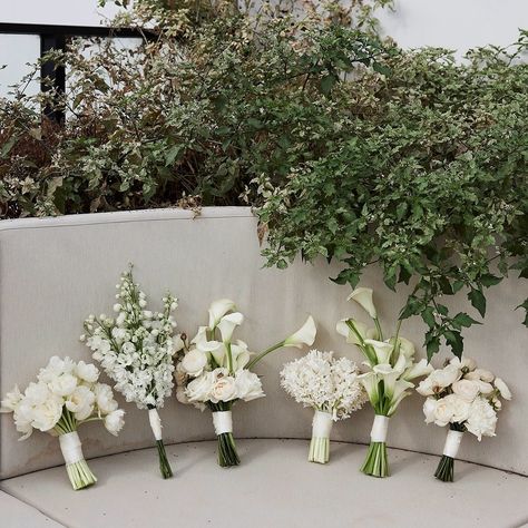 A moment of awe for Mandy & Scott’s incredible floral work by Brother Studio @brotherstudi000 🍃 Each Bridesmaid had a petite floral blocked bouquet with a single type of flower. Mandy’s bouquet was elegant and classic but with a refined twist. European urns and an abundance of premium white flowers were blocked by style and sculpted along the ground in a high-low meadow, completed with customized satin bow. Design & Styling @clothandconfettievents Floral Design @brotherstudi000 Photograp... Elegant Bridesmaids Bouquets, Single Type Of Flower Bouquet, One Type Of Flower Bouquet, Best Bridal Bouquet Flowers, Elegant Whimsical Wedding Decor, Elegant Bridesmaid Bouquet, Classic White Flowers Wedding, Wedding Urn Flowers, Different Bouquets For Bridesmaids