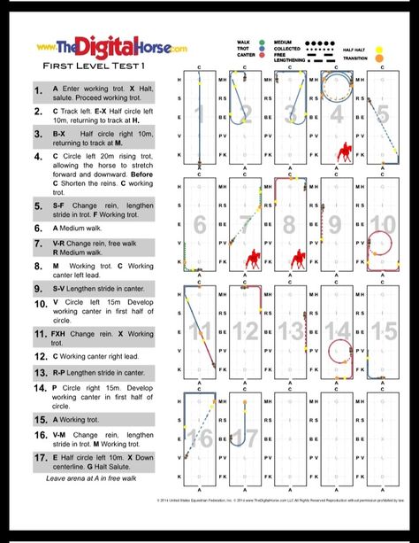 Dressage Tests Level 1, Dressage Patterns, Dressage Tests, Dressage Exercises, Riding Exercises, Horseback Riding Tips, Horse Lessons, Horse Art Drawing, Riding Tips