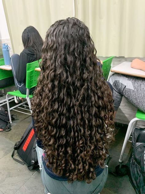 3a Long Hair, Long 3a Curly Hair, Curly Long Hair Aesthetic, Long Hair Wavy Curls, Long 3b Hair, Long Healthy Curly Hair, Long Curly Hair Brown, Curly Hair 2c, Long Brown Curly Hair