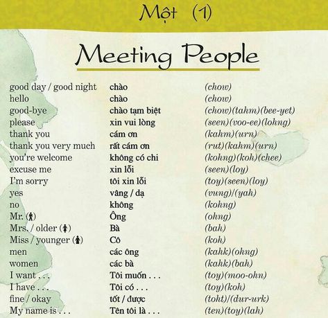 Vietnamese Writing, Vietnamese Phrases, Vietnamese Alphabet, Vietnamese Words, Thailand Language, Learn Vietnamese, Thai Alphabet, Learn Thai Language, Language Map