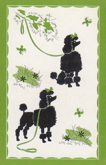 Poodle illustrations, c. 1950s. Black Poodle Illustration, Poodle Illustration, Designing Tattoos, Poodle Card, Poodle Tattoo, Poodle Drawing, Poodle Party, Poodle Standard, 2023 Graphic