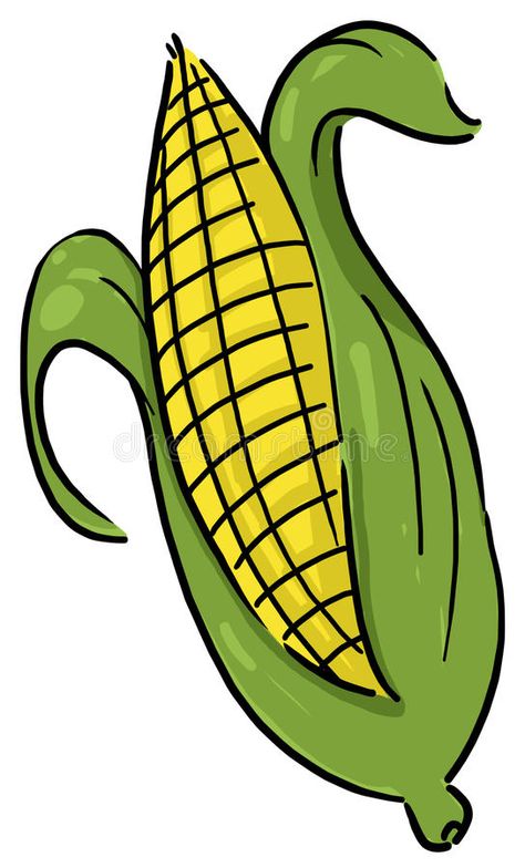 Cute Corn Drawing, Corn Cartoon, Corn Drawing Simple, Corn On The Cob Drawing, Corn Illustration, Indian Corn Watercolor, Corn On The Con, Corn Illustration Drawings, Corn Vector