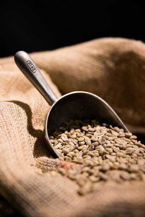 We stock Green Beans from around the world! With over 100 different beans there is one for you! Check out our website for more information! ☕ Barista School, Coffee Beans Photography, Raw Coffee Beans, Arabica Robusta, Cafe Photography, Coffee Market, Coffee Sale, Coffee Board, Farm Photography