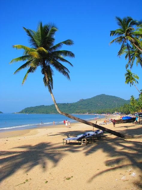 Curved Coconut trees holding strong with their roots deep and wide to support their structure. Palolem, Goa #travel #goa #india #beaches - qnatours@gmail.com Palolem Beach, India Places, Goa Travel, Coconut Trees, Goa India, Lost Time, West Bengal, Historical Place, Incredible India