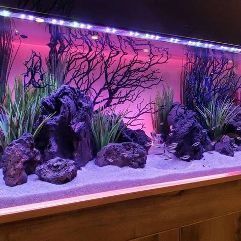 Original Fish Tank Decorations, 35 Creative Aquarium Decorating Ideas Ribe, Cool Fish Tank Decorations, Cichlid Aquarium, Ikan Air Tawar, Fish Aquarium Decorations, Fish Tank Themes, Fish Tank Terrarium, Amazing Aquariums, Cool Fish Tanks