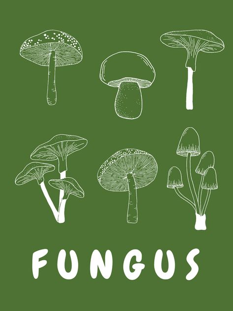 Mushroom Poster Design, Mushroom Graphic Design, Mushroom Symbol, Mushroom Diagram, Mushroom Branding, Mushroom Types, Poster Mushroom, Mushroom Logo, Logo Sketch Design