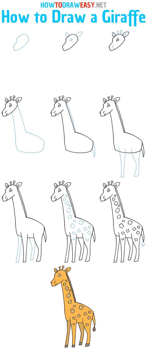 How to Draw a Giraffe Step by Step #Giraffe #GiraffeDrawing #StepbyStepGiraffeDrawing #GiraffeHowtoDraw #DrawGiraffe #CartoonGiraffe #EasyDrawings #Sketch #DrawingTutorials Zirafah Drawing, Easy Giraffe Drawing, Giraffe For Kids, Art Steps, Trin For Trin Tegning, Jungle Drawing, Cartoon Doodles, Giraffe Crafts, Giraffe Drawing