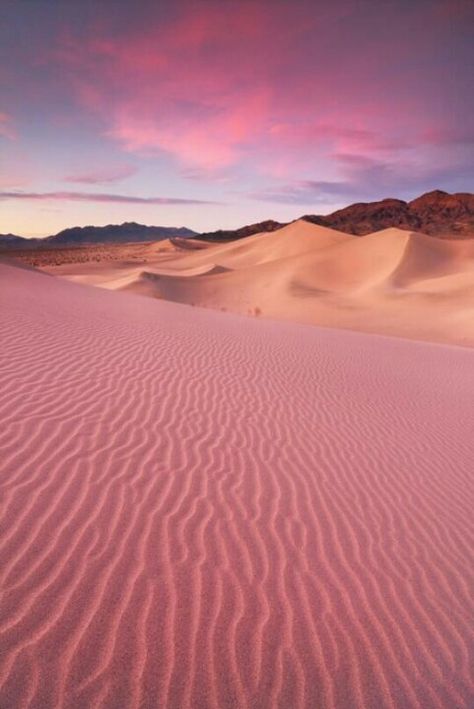 Pink desert sands وادي رم, Desert Dream, Wadi Rum, Pink Sand, Amman, Sand Dunes, The Desert, Beautiful World, Beautiful Landscapes