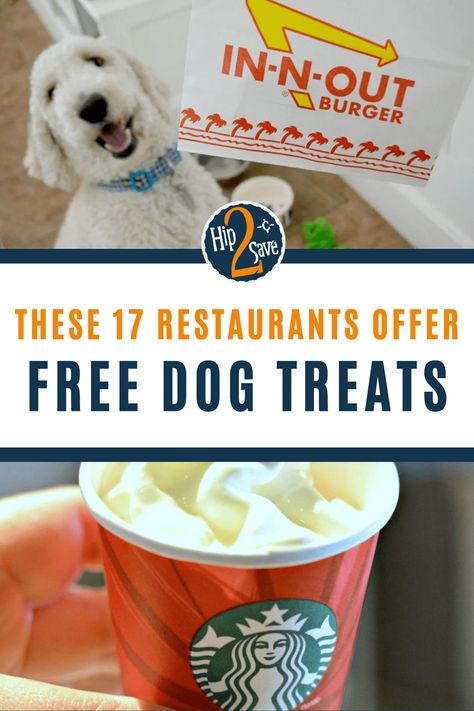 Bone appetit! These 17 restaurants offer FREE or inexpensive treats for your dog. From puppuccinos to puppy patties, check out these doggie treats offers at these restaurants. Pup Cups, Sugar Free Cupcakes, Frosty Paws, Pup Cup, Dog Restaurant, Bone Appetit, Couponing For Beginners, National Dog Day, Free Puppies