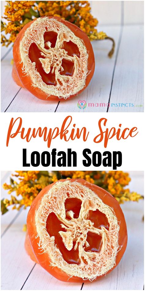 Diy Loofah, Diy Pumpkin Pie, Loofah Soap Diy, Goat Soap, Diy Soap Recipe, Essential Oil Beauty, Loofah Soap, Soap Recipe, Diy Body Care